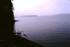 Misty Lake Desor