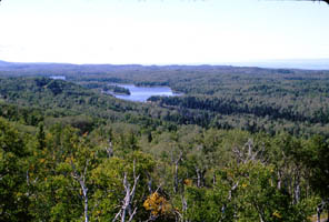 View from Mount Ojibway tower