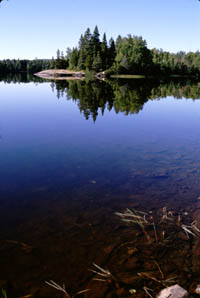 Trees reflected in Lake Richie