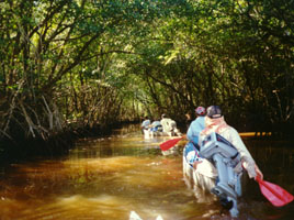 Canoeing in a narrow creek