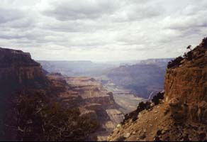 View into the Canyon