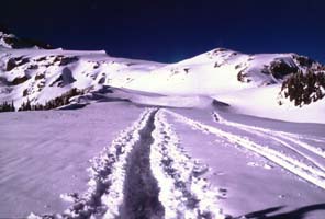 Path in snowfield